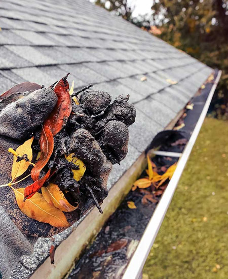 Affordable Roofing and Gutter Repair Services in Union, NJ